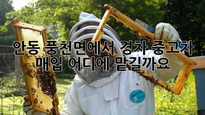 안동 풍천면에서 경차 중고차 매입, 어디에 맡길까요?