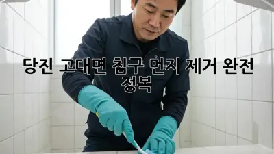 당진 고대면 침구 먼지 제거 완전 정복!