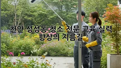 천안 성성동 청소 전문 교육: 실력 향상의 지름길