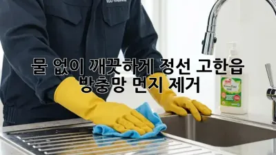 물 없이 깨끗하게! 정선 고한읍 방충망 먼지 제거