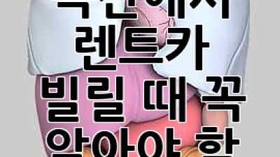청주 옥산에서 렌트카 빌릴 때 꼭 알아야 할 보험 꿀팁! 🚗💨